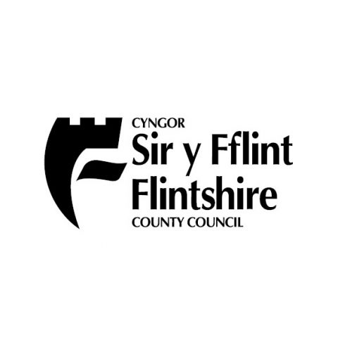 image Flintshire County Council logo