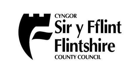 logo image Flintshire County Council